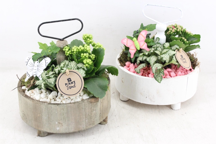 <h4>arr2 PL - Etagere rond - roze/wit</h4>