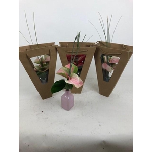 Evanty vaas 5 bloem in tas Evanty vaas 5 bloem in tas