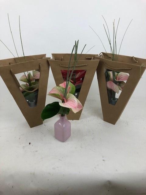 <h4>Evanty vaas 5 bloem in tas Evanty vaas 5 bloem in tas</h4>