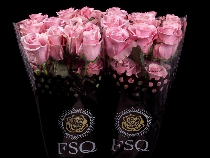 <h4>R GR Think Pink</h4>