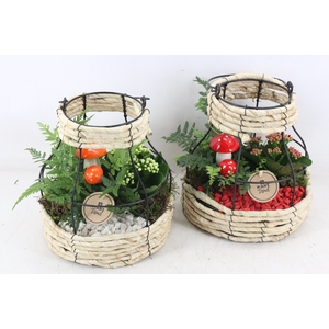 arr2 PL - Riet metaal lantaarn - wit/rood