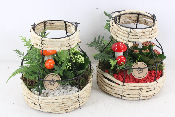 <h4>arr2 PL - Riet metaal lantaarn - wit/rood</h4>