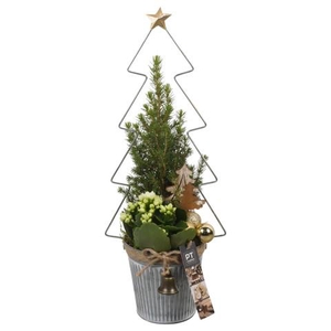 PTCHG5672 Arrangementen Kerst
