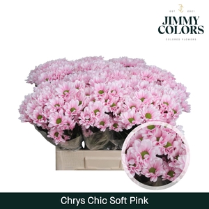 Chrys tros Chic Soft pink