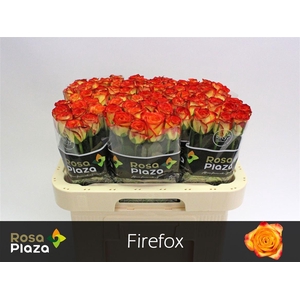 R Gr Firefox