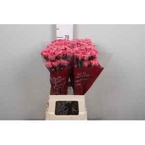 Di St Ov Kl B H% Lipstick