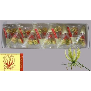 Gloriosa Lutea Short