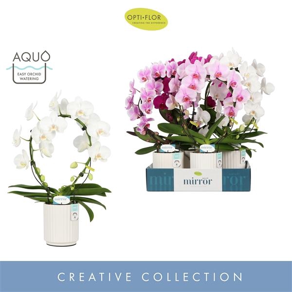 <h4>Mirror Miracle Mix 2 spike in Molise White Aquo</h4>