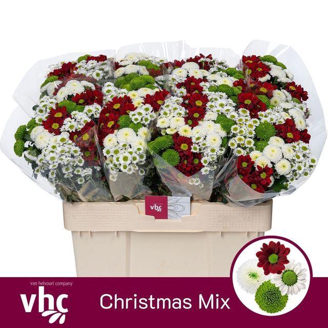 <h4>CHR SANTINI MIX</h4>