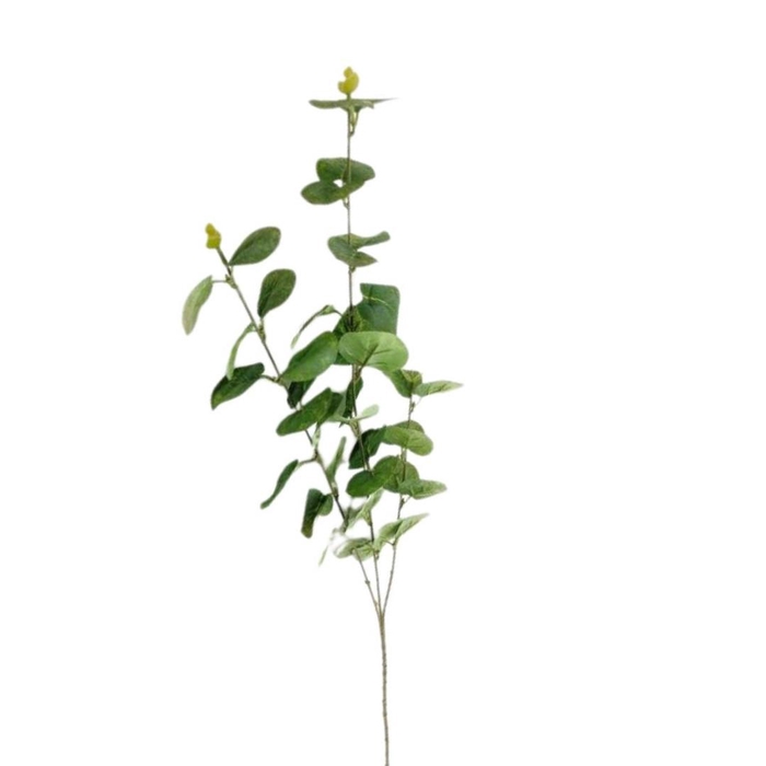 <h4>Kunstbloemen Eucalyptus 90cm</h4>