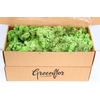 Mos Reindeer Moss May Green 500gr