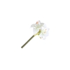 Amaryllis Mini Cream FL440369CRM
