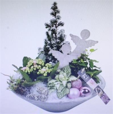 <h4>3528 ROZE GLAS 28</h4>