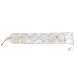 GUIRLANDE SCHELPEN CAPIZ 1M NATUREL