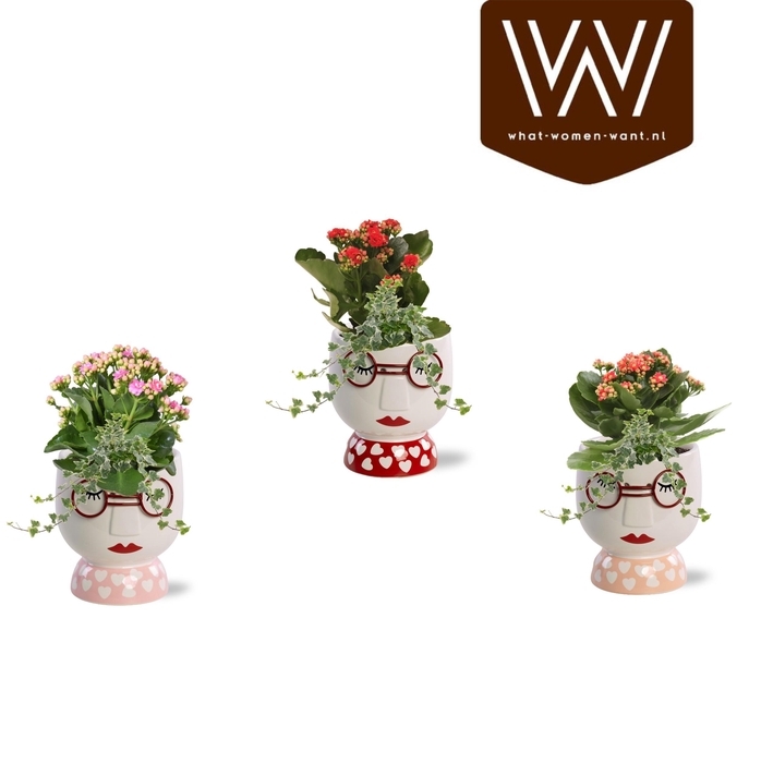 <h4>Collectie "Sympathetic Moods" - Arrangement in pot Steffie (kopie)</h4>