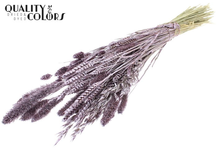 <h4>Dried Flower mix bunch Metallic Pink</h4>