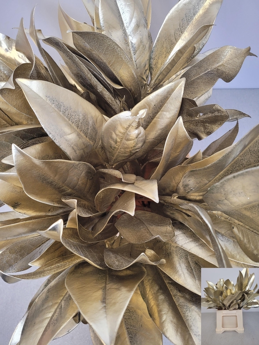 <h4>MAGNOLIA METAL PLATINA PB</h4>