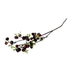 SILK APPLE BERRY L76 black