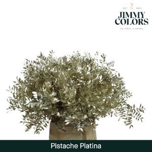 Pistache L50 Metallic Platina