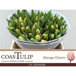 Tu En Mango Charm