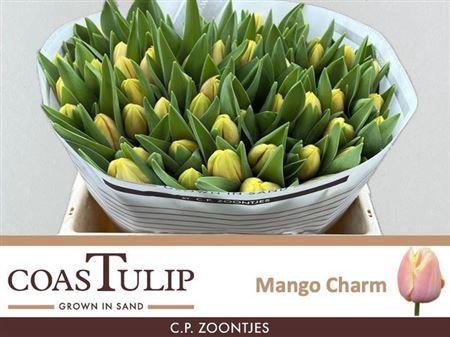 <h4>Tu En Mango Charm</h4>