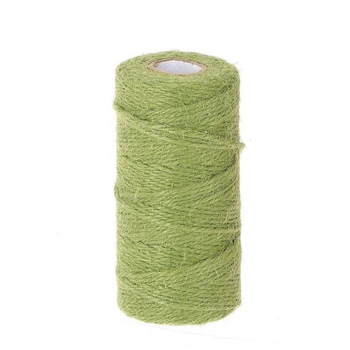 <h4>Wire Jute cord 2mm 100m</h4>