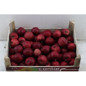 Sier Appels Dark Red 5kg P Wdn Box