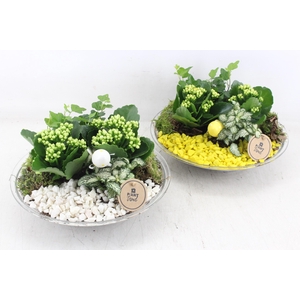 arr2 PL - Glas schaal 27cm - geel/wit