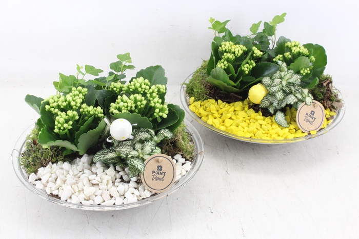 <h4>arr2 PL - Glas schaal 27cm - geel/wit</h4>