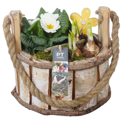 <h4>PTBM3160 Arrangementen Tuinplanten</h4>