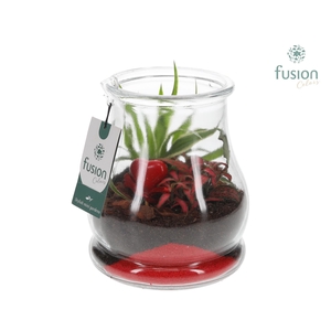 Glas Druppel met Arrangement