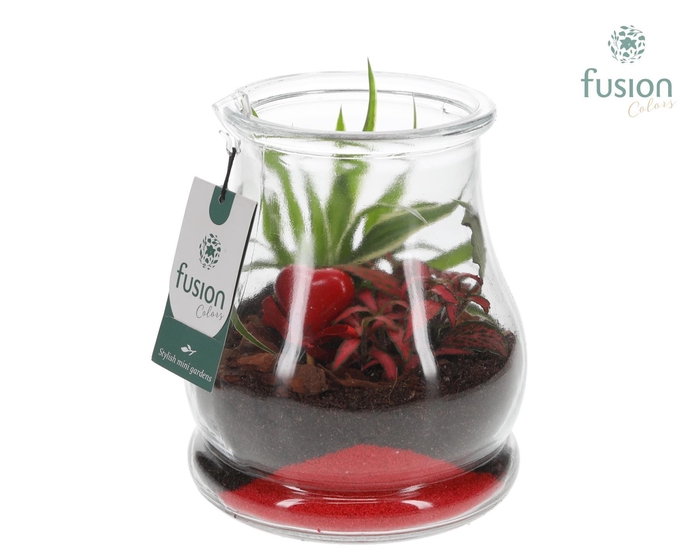 <h4>Glas Druppel met Arrangement</h4>