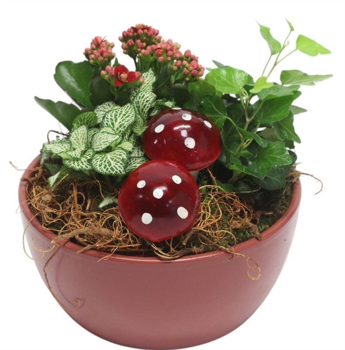 arr2 PT 9503 KER ROOD SCHAAL
