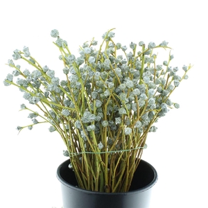 Euca Boule 300 Grams