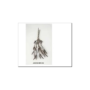 AF Alder Bundle 3pcs L45cm Br