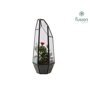 Metalen Geometrisch Lantaarn met Potroos