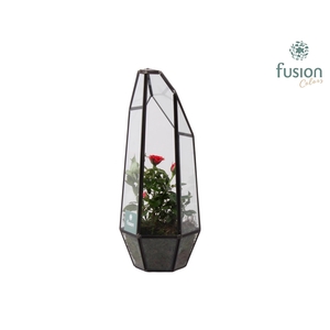 Metalen Geometrisch Lantaarn met Potroos