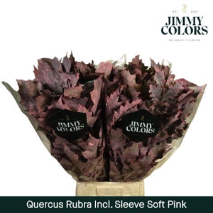 Quercus Rubra sleeve L80 Soft pink