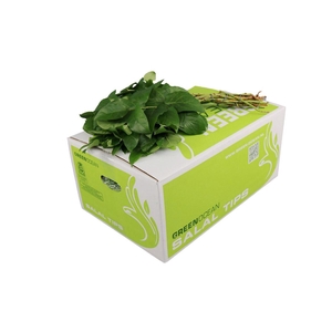 Salal Tip