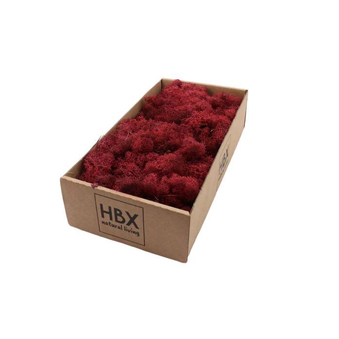 <h4>Moss Reindeer 500g</h4>