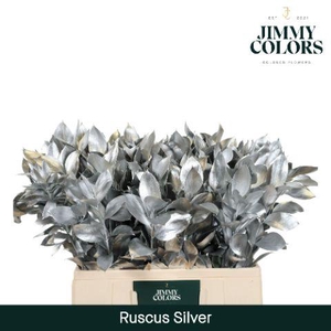 Ruscus L60 Mtlc. Silver