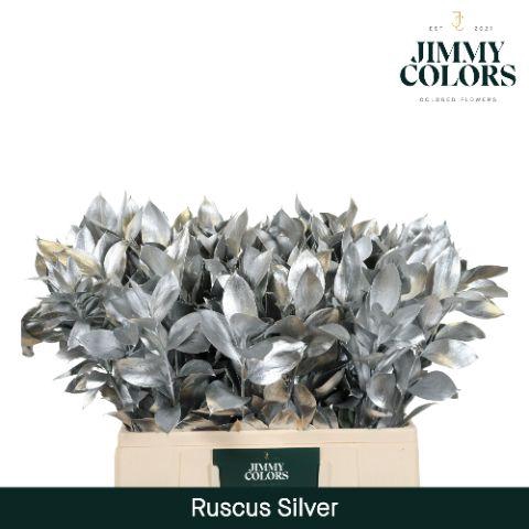<h4>Ruscus L60 Mtlc. Silver</h4>