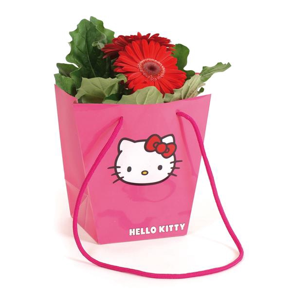 <h4>Gerbera belicht 2+ in Hello Kitty hawai</h4>