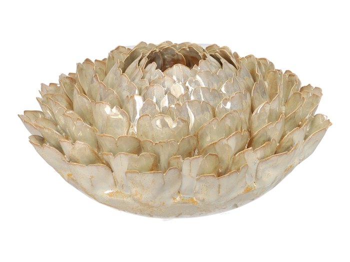 <h4>DF03-731111300 - Vase Lotus d28.5xh13 beige</h4>