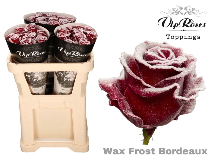 <h4>R GR WAX FROST BORDEAUX x30 998</h4>