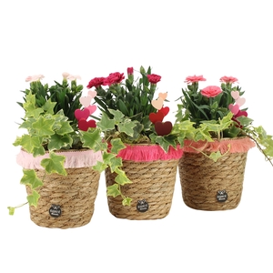 21989: Love outdoor arrangement