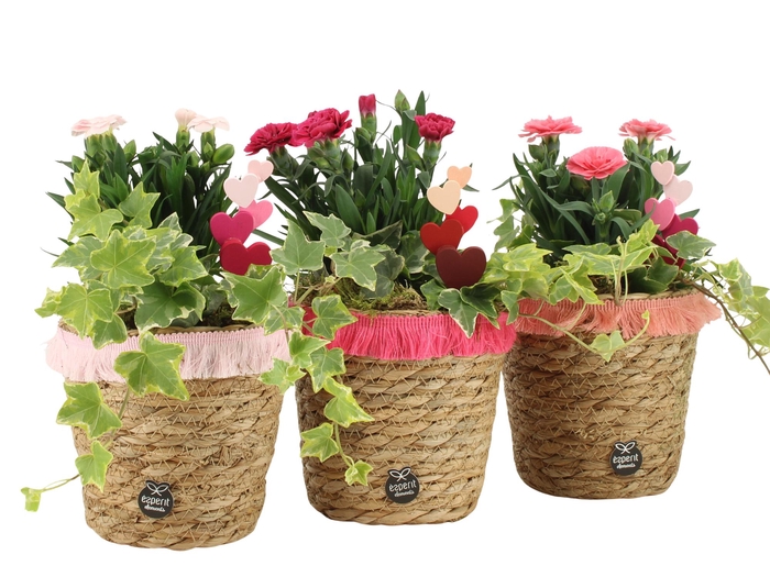 <h4>21989: Love outdoor arrangement</h4>