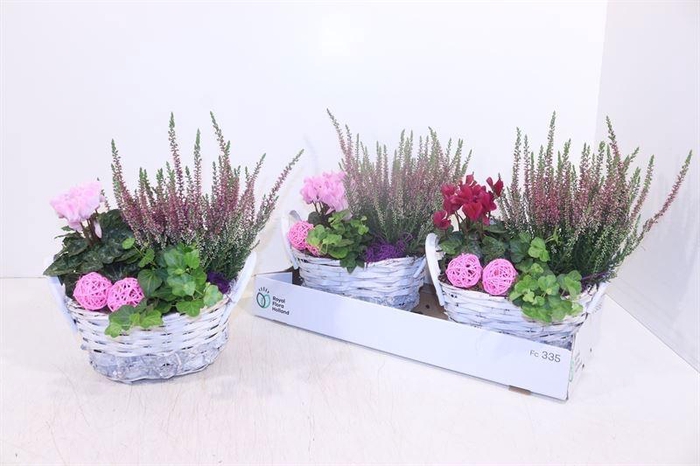 <h4>ARR TUINPLANTEN</h4>