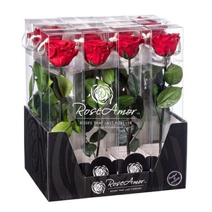 Display 30cm Stem Red02