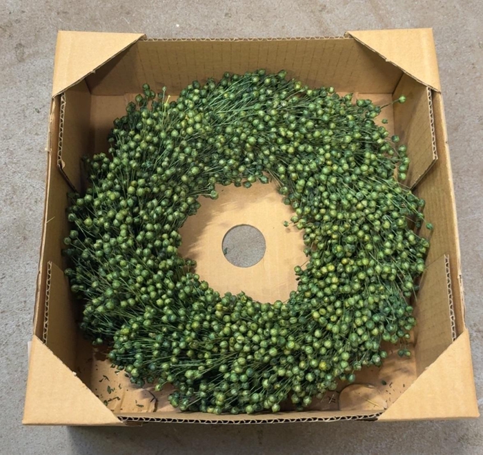 <h4>Dried wreath 'Flachs green' - 30 cm</h4>